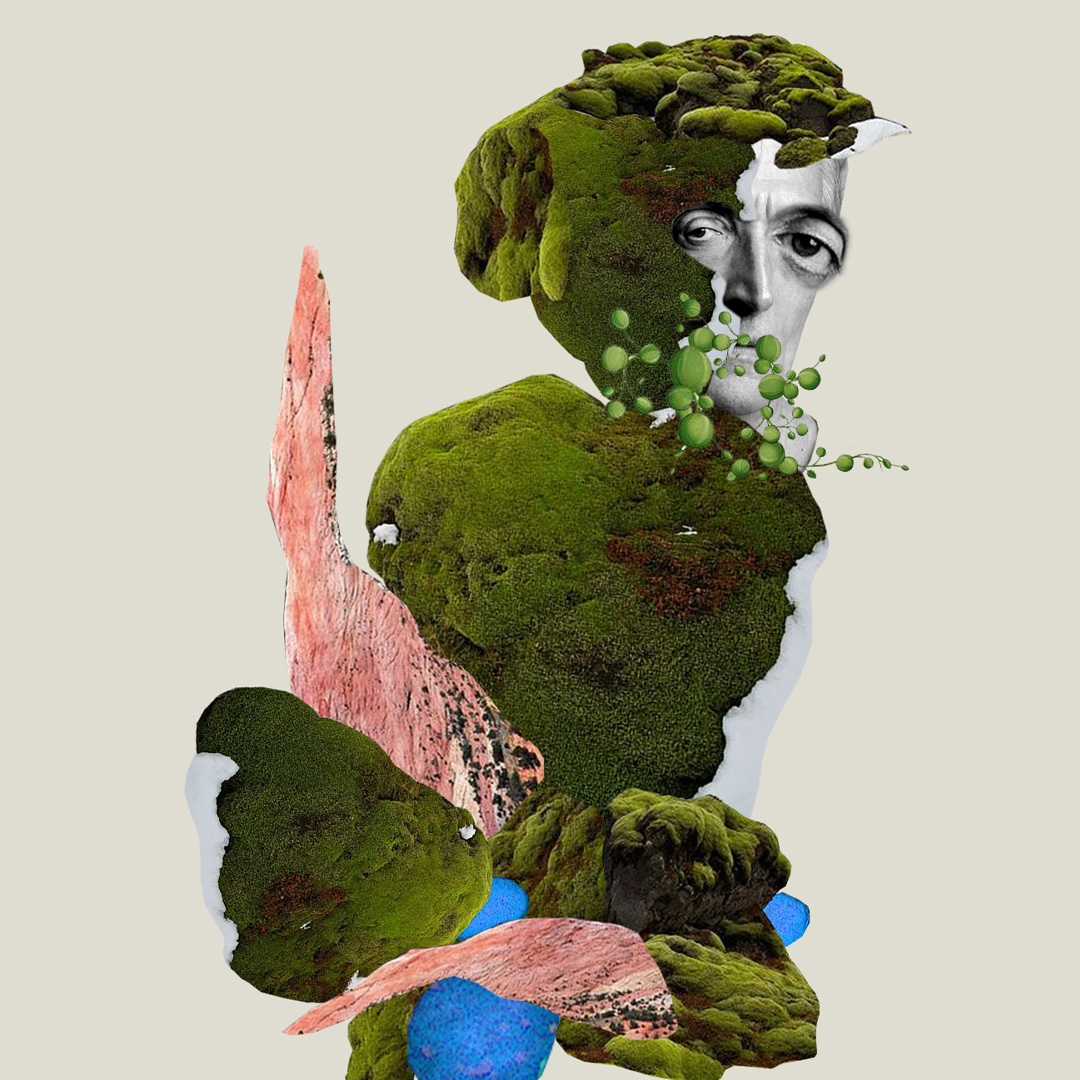 Digital collage fra GEP – naturinspirert kunstverk med mose, stein og surrealistisk portrett.